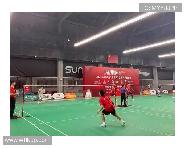 羽毛球耐力排行榜揭晓深圳羽毛球队荣获第八名佳绩